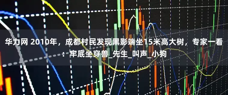 华力网 2010年，成都村民发现黑影端坐15米高大树，专家一看：牢底坐穿兽_先生_叫声_小狗